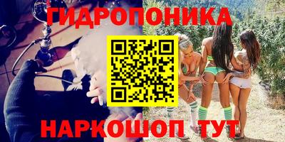 спайс Обь