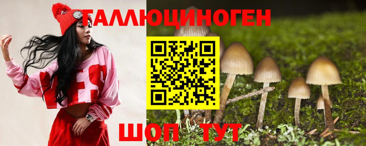 Псилоцибиновые грибы MAGIC MUSHROOMS Старая Купавна