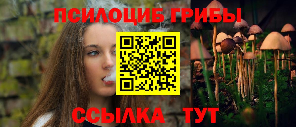 Галлюциногенные грибы Cubensis  Вход с VPN  Старая Купавна  Галлюциногенные грибы GOLDEN TEACHER 